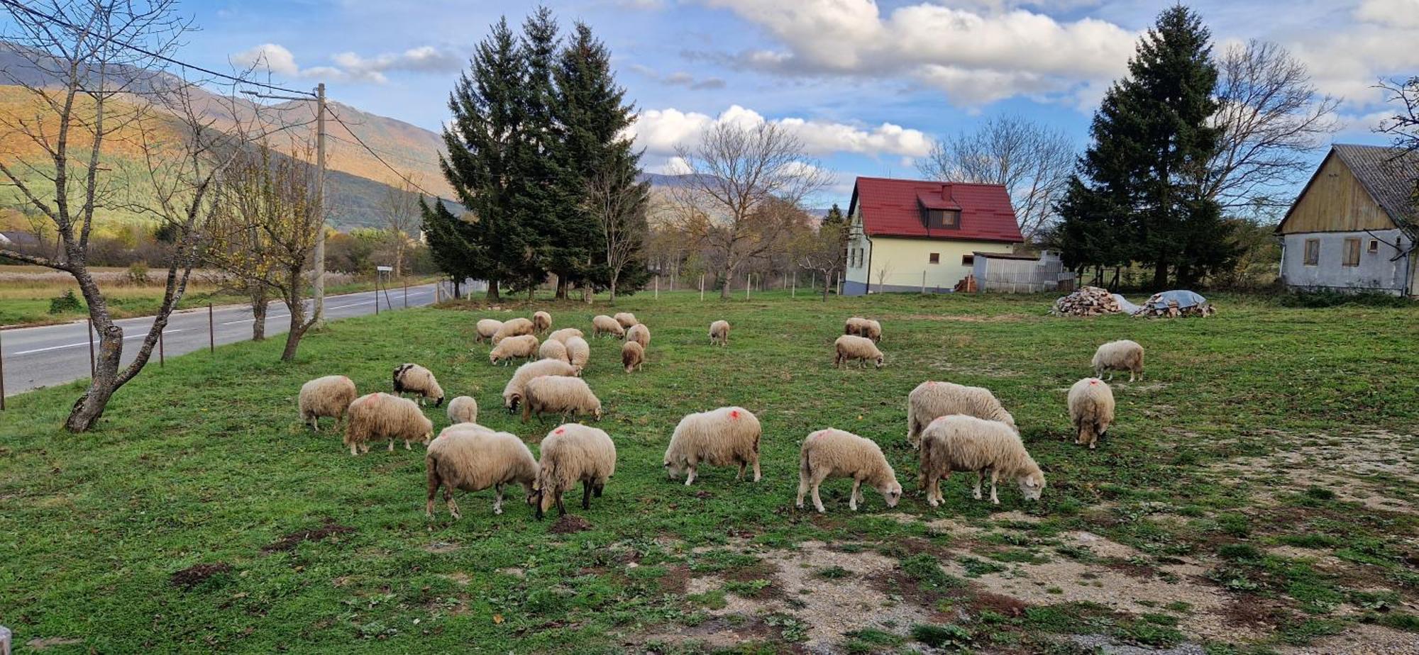 Plitvice Apis Villa Korenica Dış mekan fotoğraf